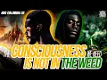 Download Lagu The Consciousness We Need Is Not In The Weed