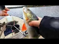 Download Lagu JIGIKALASTUSTA LOKAKUUSSA | LÖYDÄNKÖ KALAT? | PIEN-SAIMAA