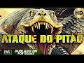 Ataque Do Pitao Acao Aventura de Sobrevivencia Filme Completo Dublado