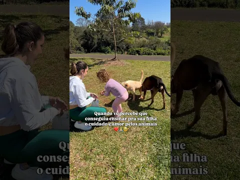 Como é bom qdo a gente percebe que conseguiu ensinar um valor tão importante né ❤️🐶