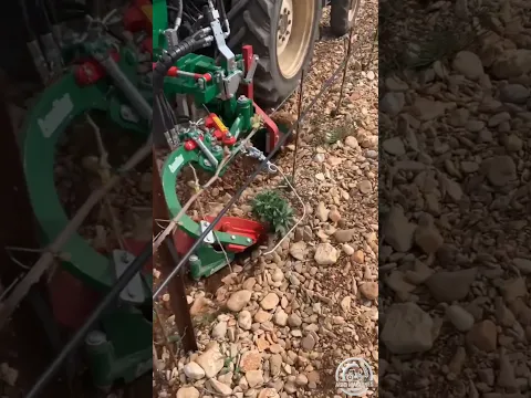 Field Demo: Dual Row Cultivator IH-350 At Work || Cultivation Season 2026 in Spain || #weeding
