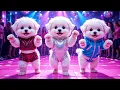 Cute puppy crazy dancing Funny for Dogs 3