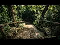 Central Park s Fake Forest and the Cave