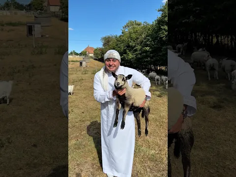 طبخت خروف صغير؟!😱