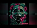 Amor en la playa feat Erika Perdomo (guaracha) remix Bj