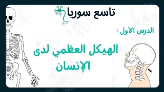 الهيكل العظمي لدى الإنسان علوم تاسع سوريا الدرس الأول 