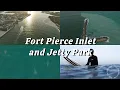 Fort Pierce Inlet Jetty Park Surfers and Lots of Sharks from Above