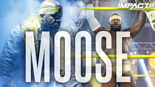 moose new theme song u0026 entrance video impact wrestling theme songs