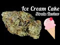 Ice Cream Cake Strain Review