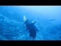 Diving Sipadan