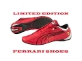 Ferrari Puma shoe review