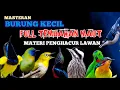 Download Lagu 2 jam masteran BURCIL FULL TEMBAKAN MAUT materi pengahancur lawan