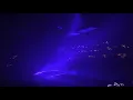 Tame Impala - Lost in Yesterday (Live) 4K HQ Audio 9-20-21 Denver