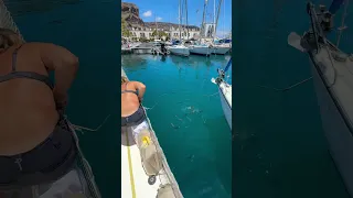 Fiskemat