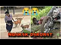 Download Lagu SI PALING RANDOM PART 7 ❗ 😭😭❗VIDEO LUCU BIKIN NGAKAK ❗HIBURAN WARGA 62 LUCU TERBARU •HD•