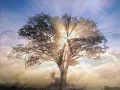 Consciência Humana - Lembranças
