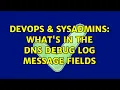 DevOps SysAdmins What s in the DNS Debug Log Message Fields