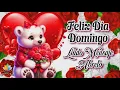 HAPPY SUNDAY Watch a beautiful for you with a beautiful Good Morning MESSAGE