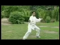 Download Lagu Zhu Tian Cai - Tai Chi style Chen Xinjia Erlu 1990's [陈氏太极拳新架 Taijiquan style Chen]
