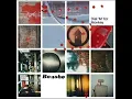 Bonobo - Noctuary
