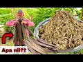 Download Lagu POKOK BUAH BEKA BUAT KERABU ❓❓ Bikin selera makan