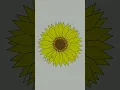 Sunflower using Python How to make sunflower by python turtle