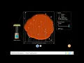 Rutherford Scattering - Plum Pudding Atom