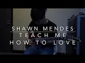 Download Lagu Teach Me How To Love - Shawn Mendes Guitar Cover