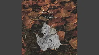 Last Leaves Of Autumn 
