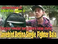 Download Lagu PERAWATAN LOVEBIRD BETINA SINGLE FIGHTER  BALA/JUARA DI KELAS SPECIAL PESTA NGEKEK KANSAS BC