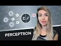 Perceptron Algorithm with Code Example - ML for beginners