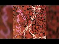 Iceage - Pain Killer (feat. Sky Ferreira) [From the Album Beyondless]