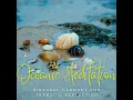 Tranquil Tides of Meditation