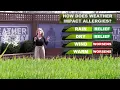 How Does Weather Play a Role with Allergy Season
