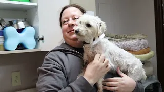 All Aboard Animal Rescue