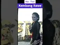 Ika Tiwi Kembang Rawe