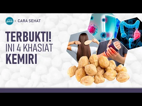 4 Manfaat Terbaik Dari Kemiri dan Cara Mengolahnya