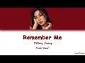 Download Lagu Tiffany Young - Remember Me Lyrics (From \