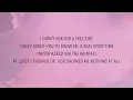 Lady Gaga - Rain On Me (Lyrics) feat. Ariana Grande