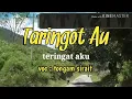 Download Lagu TARINGOT AU - TONGAM SIRAIT ( lirik dan artinya )