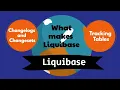 LBF101 How Liquibase Works