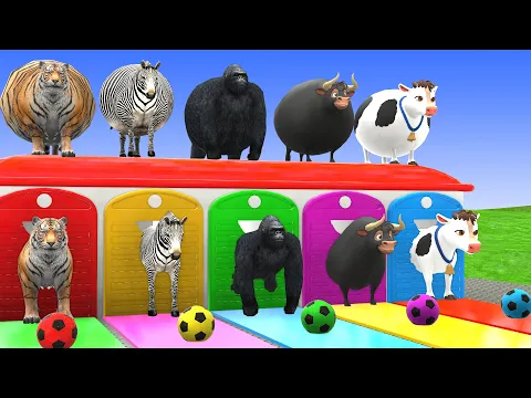 Video Thumbnail: Long Slide Game with Cow Elephant Gorilla Hippopotamus Tiger 3d Animal Game Funny 3d Animals