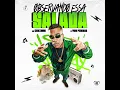 OBSERVANDO ESSA SALADA - MC Cebezinho (DJ Yuri Pedrada)