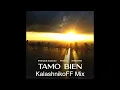 Download Lagu Enrique Iglesias x Pitbull x IAmChino - Tamo Bien (KalashnikoFF Mix)