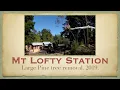 Large Pine tree removal on my land at Mt Lofty Railway Station
