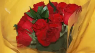 لولوة نجد حبي ركاده بدون موسيقى حفل ال العمودي 