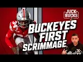 Scrimmage report Day talks Big Bo news and Backup QB