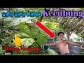Download Lagu Lucu buat sakit perut Gara gara makan kecubung wulung