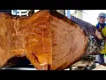 Lagu Wood sawing process with maximum results 
