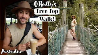 Exploring O Reilly s Rainforest in Lamington National Park Australia Travel Vlog